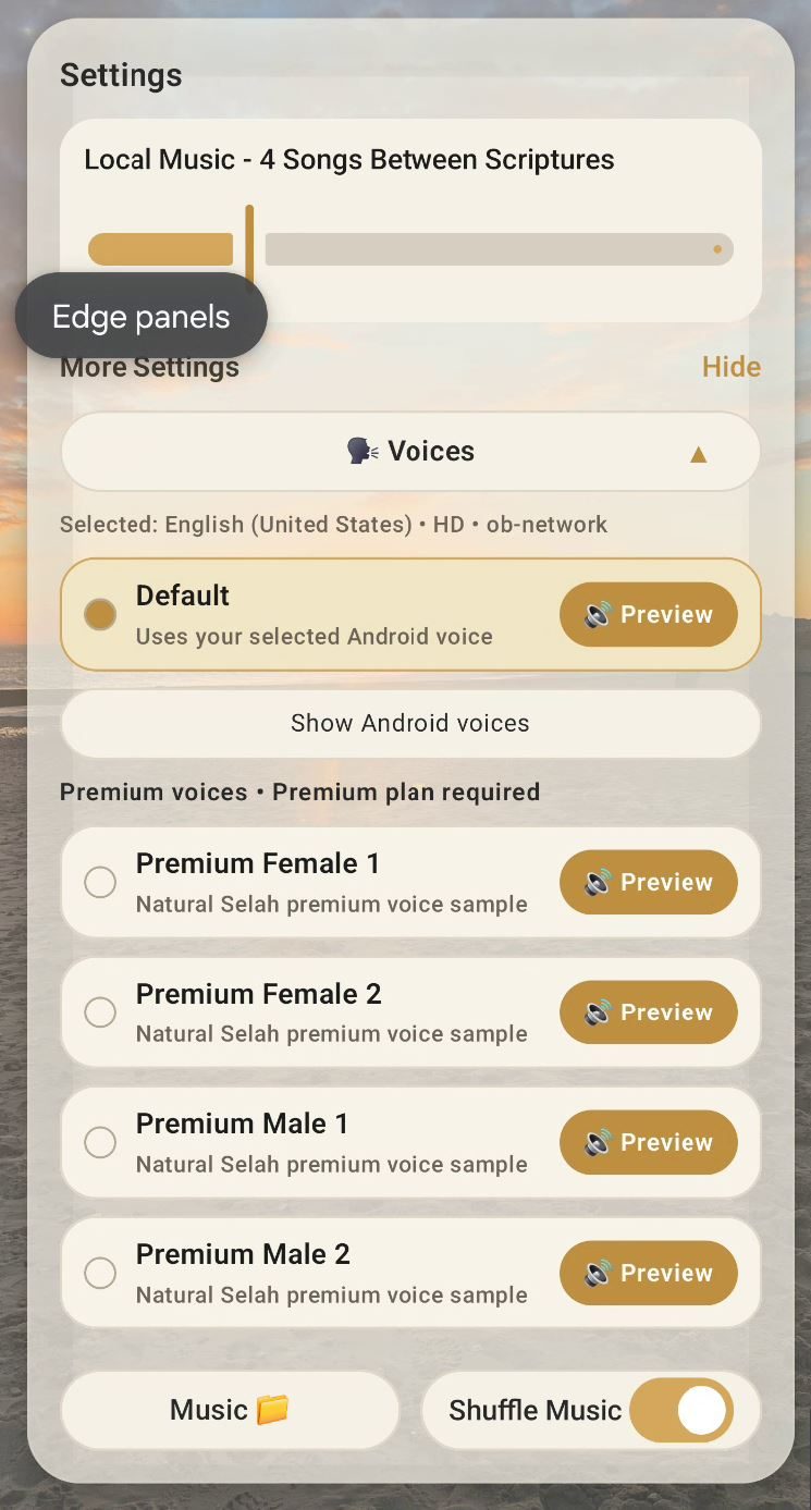 Android voice settings