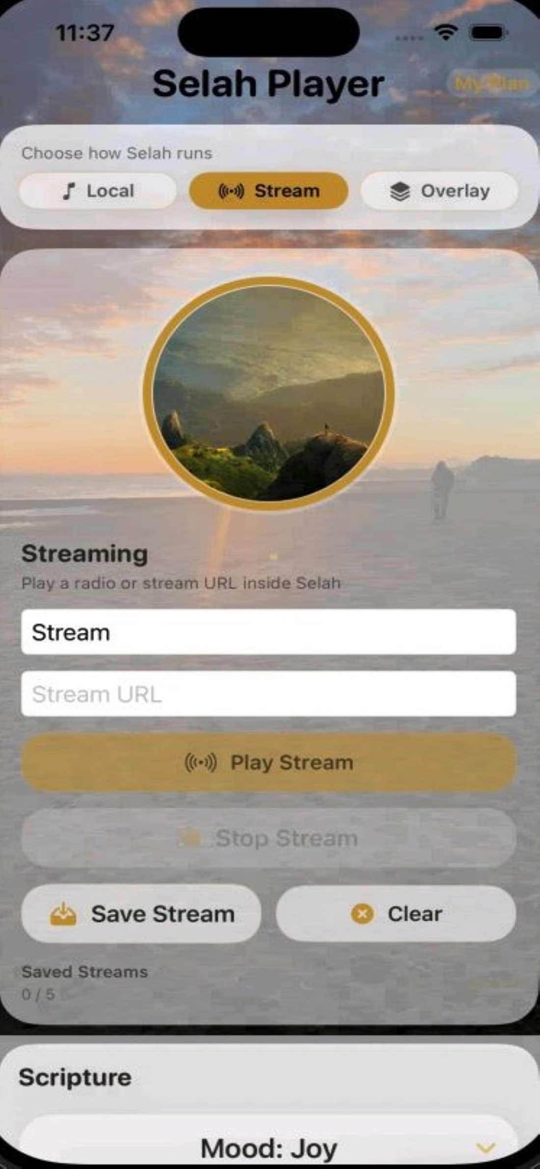 iOS stream screen