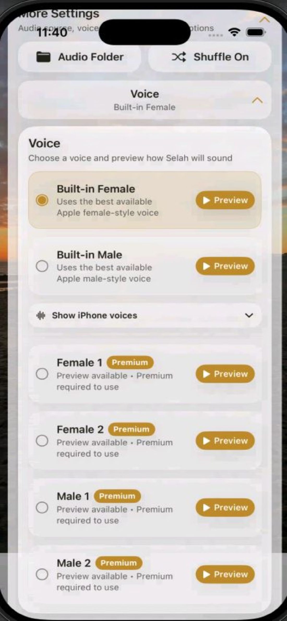 iOS voice settings